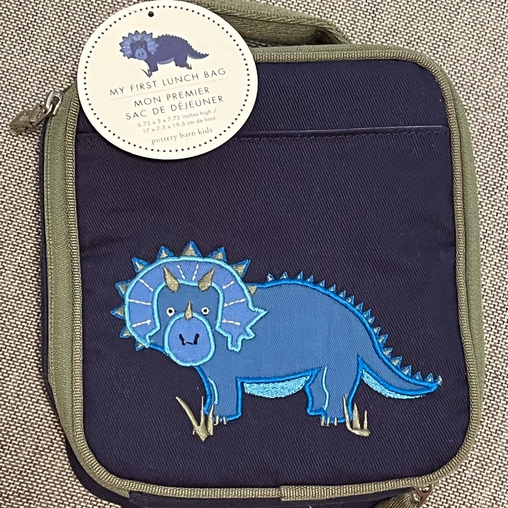 Pottery Barn Kids Dinosaur Lunch Bag